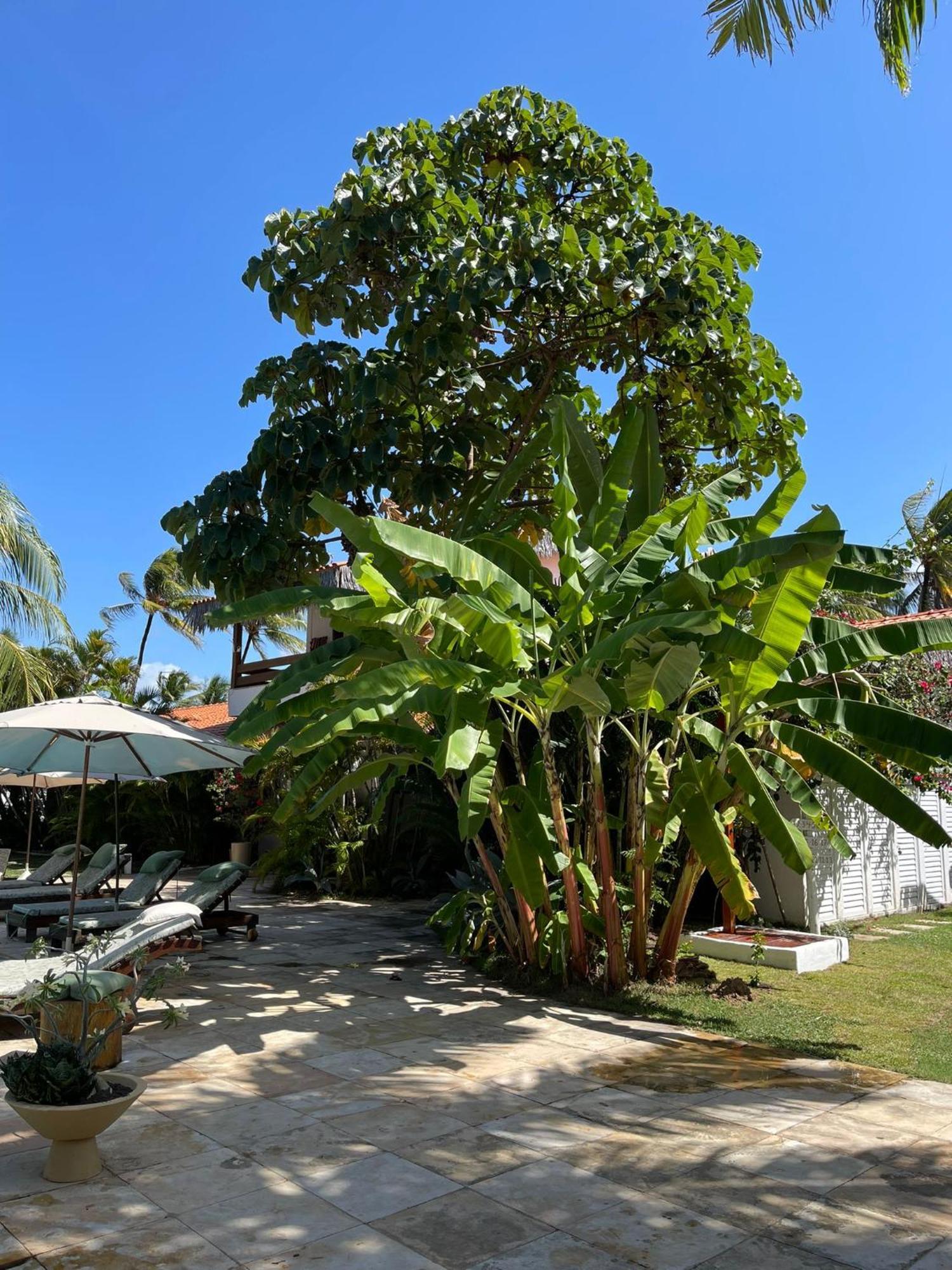 Controvento Boutique Hotel Cumbuco Luaran gambar