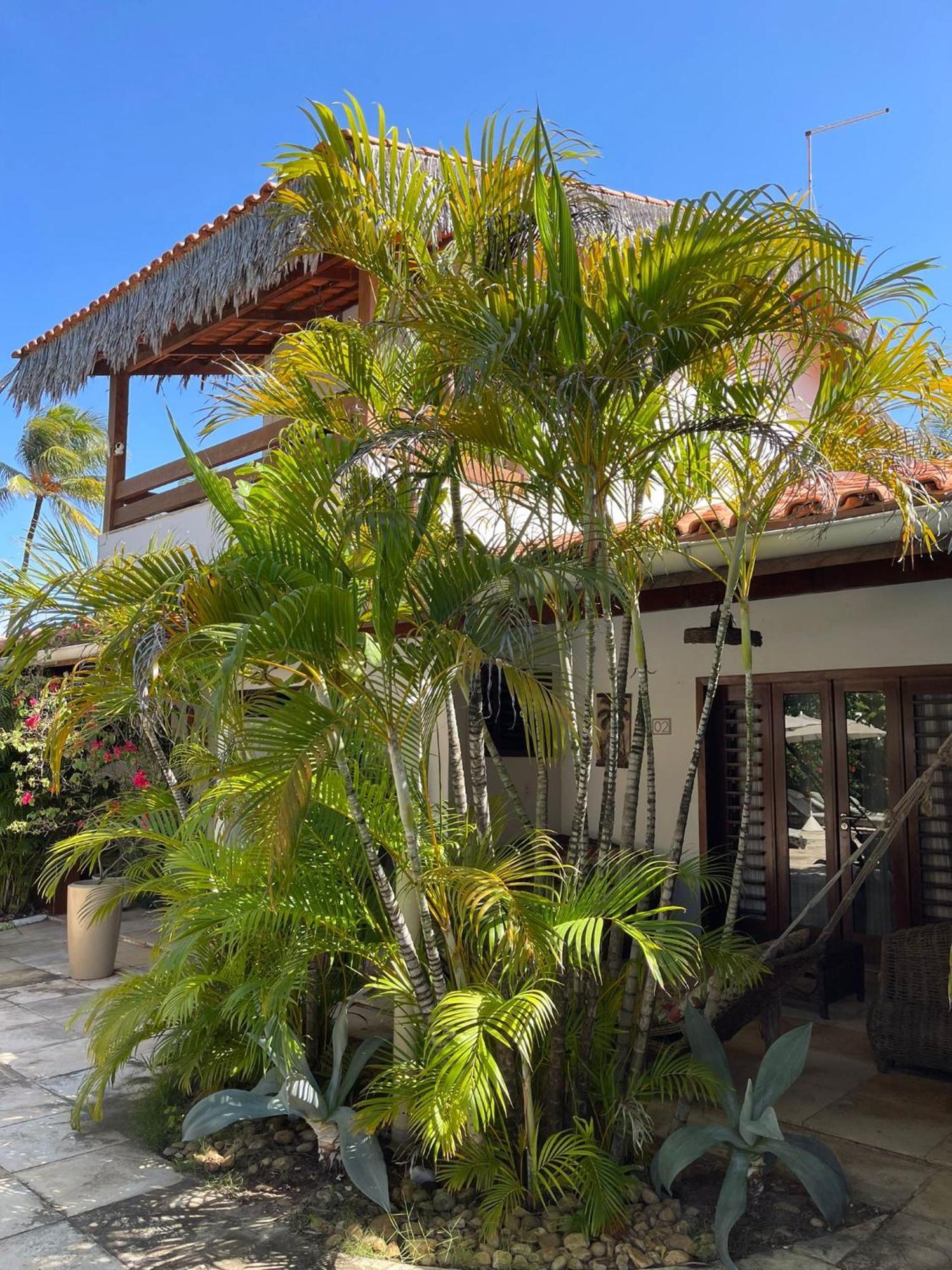 Controvento Boutique Hotel Cumbuco Luaran gambar